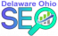 Delaware Ohio Seo logo